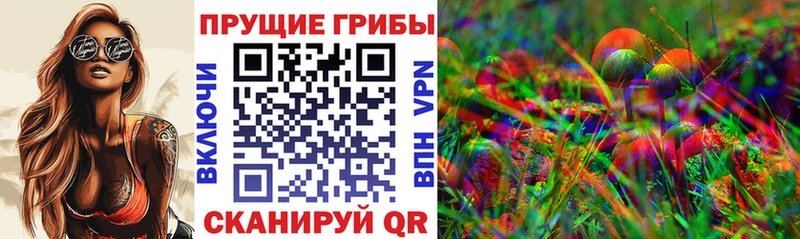 Купить закладки  Стародуб  Псилоцибиновые грибы мухоморы 