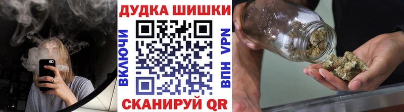 Конопля индика  Купить  Стародуб 